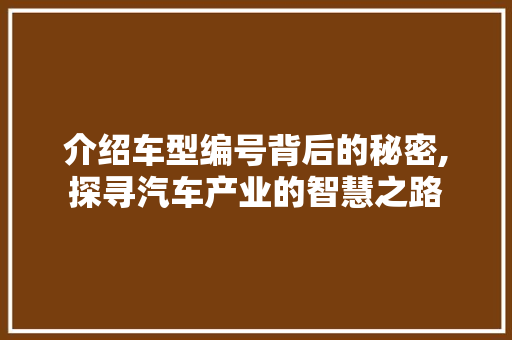 介绍车型编号背后的秘密,探寻汽车产业的智慧之路 车身配件