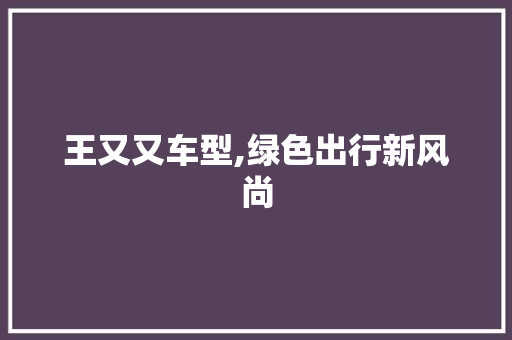 王又又车型,绿色出行新风尚
