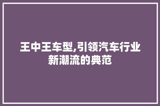 王中王车型,引领汽车行业新潮流的典范