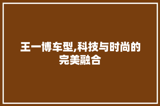 王一博车型,科技与时尚的完美融合