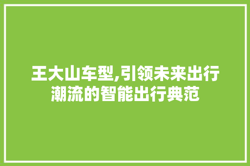 王大山车型,引领未来出行潮流的智能出行典范