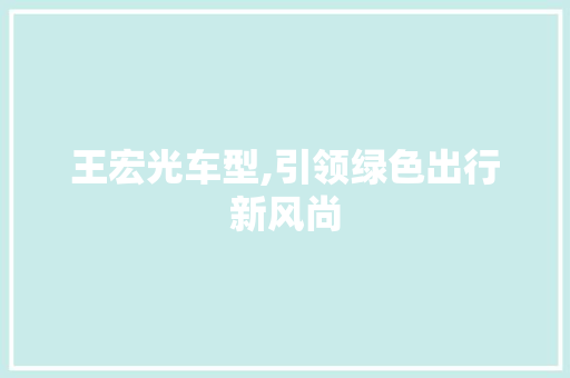 王宏光车型,引领绿色出行新风尚