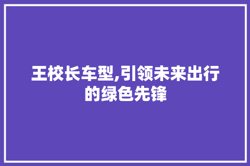 王校长车型,引领未来出行的绿色先锋