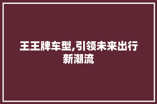 王王牌车型,引领未来出行新潮流
