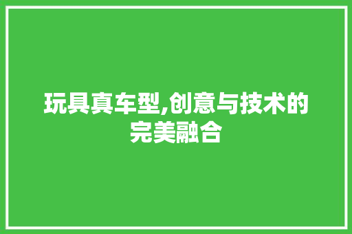 玩具真车型,创意与技术的完美融合
