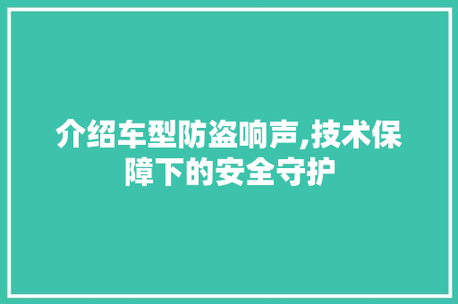 介绍车型防盗响声,技术保障下的安全守护