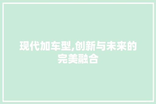 现代加车型,创新与未来的完美融合