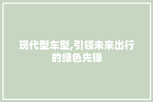 现代型车型,引领未来出行的绿色先锋