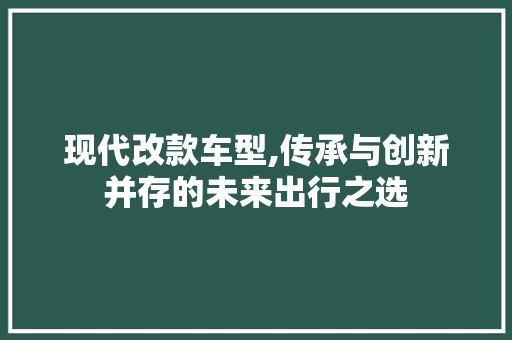 现代改款车型,传承与创新并存的未来出行之选