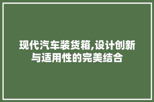 现代汽车装货箱,设计创新与适用性的完美结合