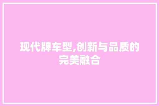 现代牌车型,创新与品质的完美融合