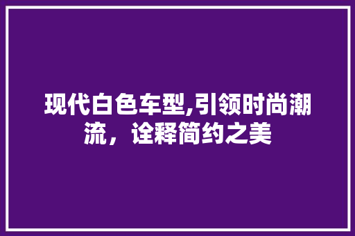 现代白色车型,引领时尚潮流，诠释简约之美