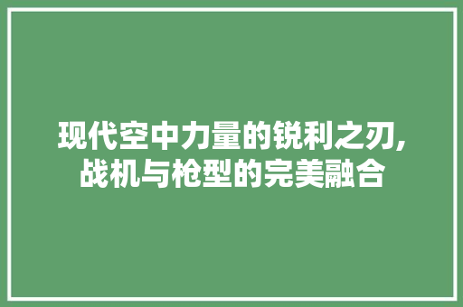 现代空中力量的锐利之刃,战机与枪型的完美融合