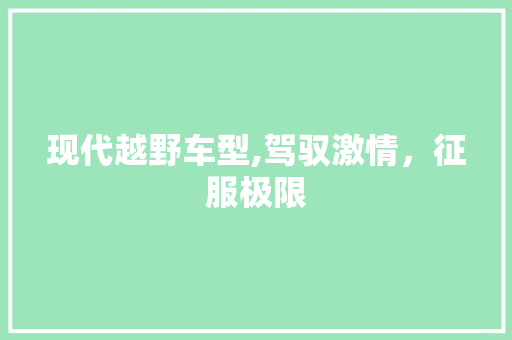 现代越野车型,驾驭激情，征服极限
