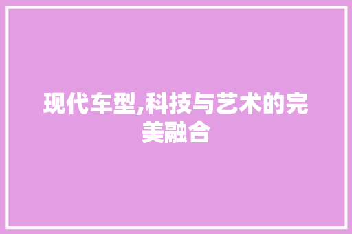 现代车型,科技与艺术的完美融合