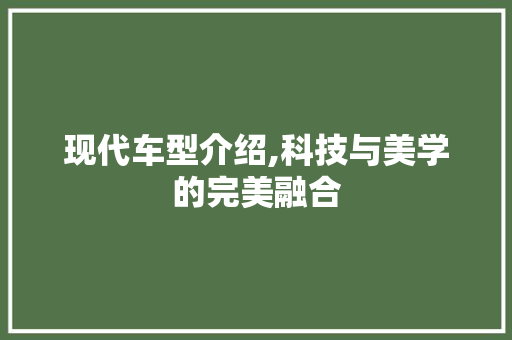 现代车型介绍,科技与美学的完美融合