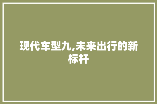 现代车型九,未来出行的新标杆