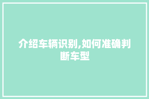 介绍车辆识别,如何准确判断车型