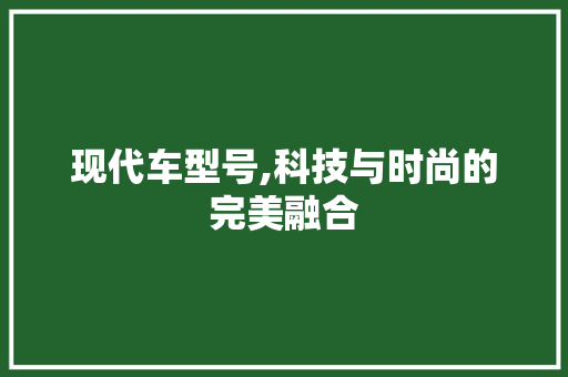 现代车型号,科技与时尚的完美融合