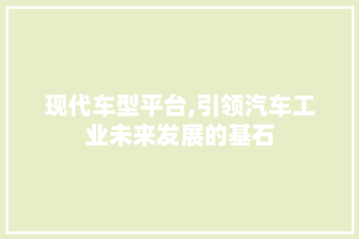 现代车型平台,引领汽车工业未来发展的基石