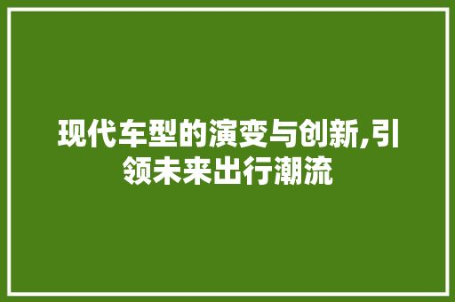 现代车型的演变与创新,引领未来出行潮流