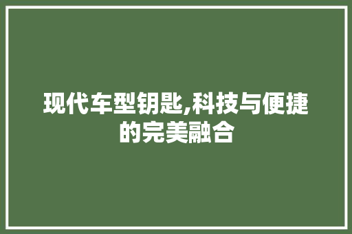 现代车型钥匙,科技与便捷的完美融合
