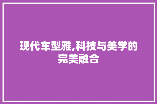 现代车型雅,科技与美学的完美融合