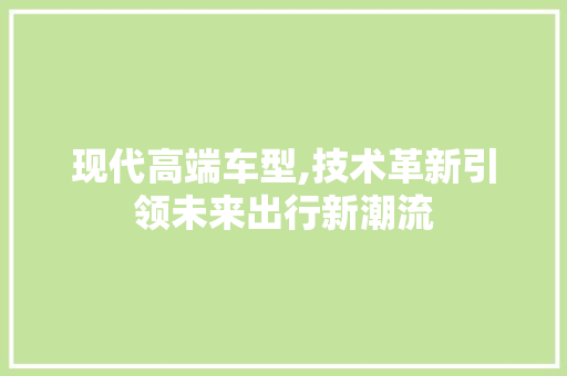 现代高端车型,技术革新引领未来出行新潮流