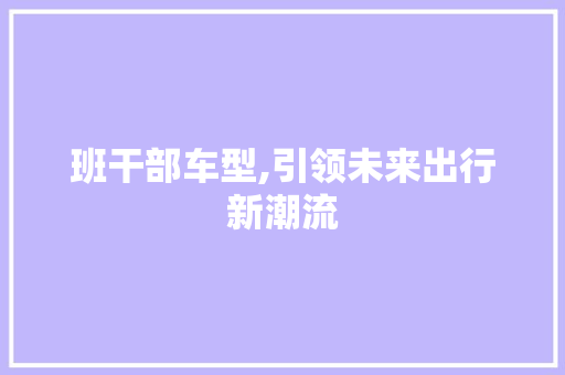 班干部车型,引领未来出行新潮流