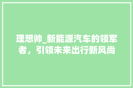 理想帅_新能源汽车的领军者，引领未来出行新风尚