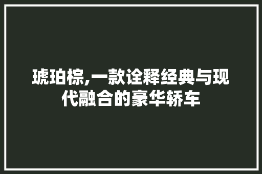 琥珀棕,一款诠释经典与现代融合的豪华轿车