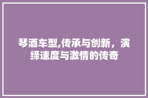 琴酒车型,传承与创新，演绎速度与激情的传奇