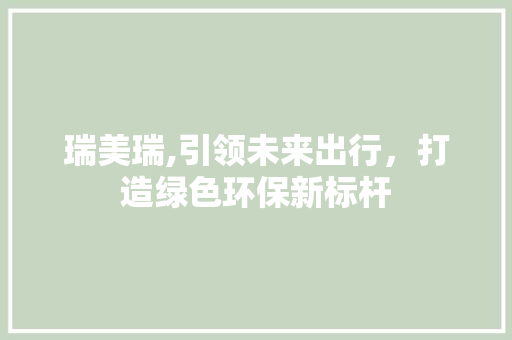 瑞美瑞,引领未来出行，打造绿色环保新标杆