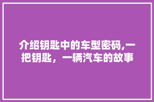 介绍钥匙中的车型密码,一把钥匙，一辆汽车的故事