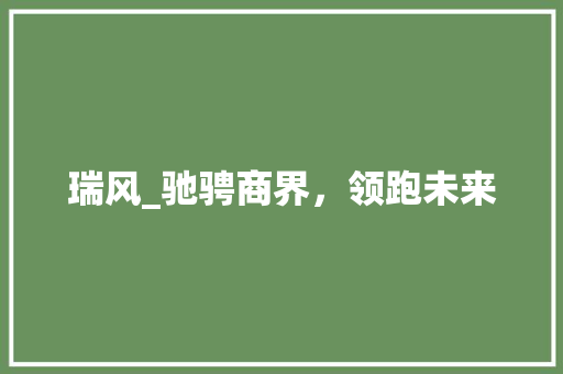 瑞风_驰骋商界，领跑未来