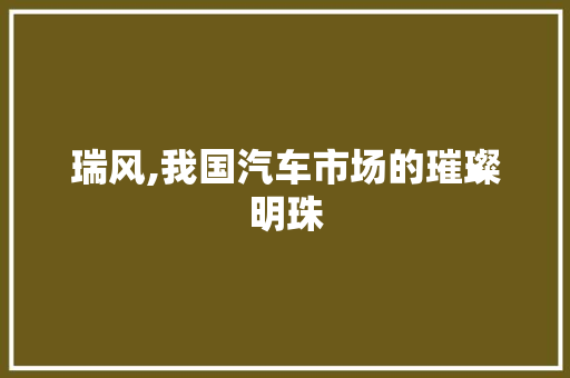 瑞风,我国汽车市场的璀璨明珠