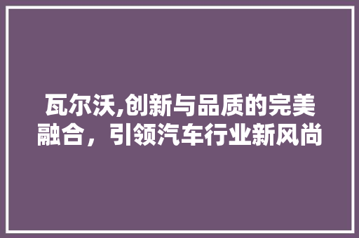 瓦尔沃,创新与品质的完美融合，引领汽车行业新风尚