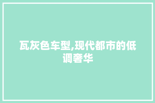 瓦灰色车型,现代都市的低调奢华