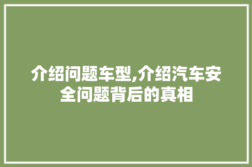 介绍问题车型,介绍汽车安全问题背后的真相