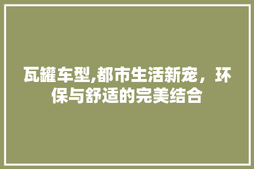 瓦罐车型,都市生活新宠，环保与舒适的完美结合