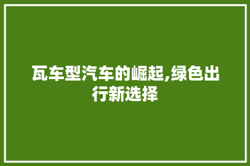 瓦车型汽车的崛起,绿色出行新选择