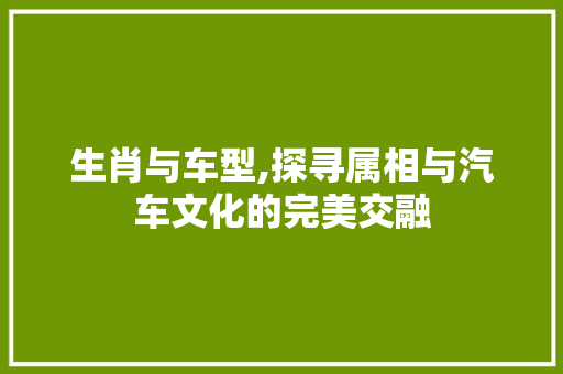生肖与车型,探寻属相与汽车文化的完美交融