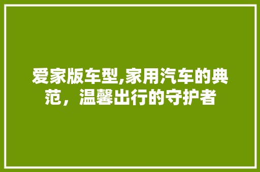 爱家版车型,家用汽车的典范，温馨出行的守护者