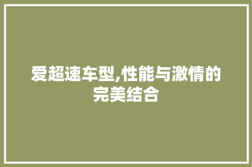 爱超速车型,性能与激情的完美结合