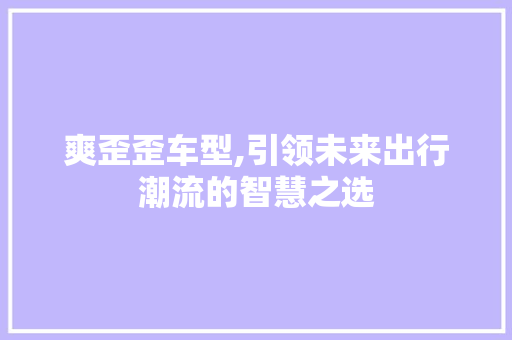 爽歪歪车型,引领未来出行潮流的智慧之选
