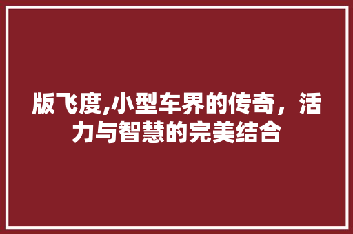 版飞度,小型车界的传奇，活力与智慧的完美结合