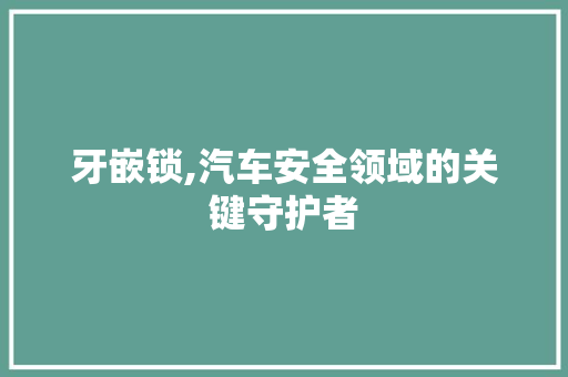 牙嵌锁,汽车安全领域的关键守护者