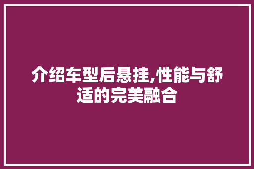 介绍车型后悬挂,性能与舒适的完美融合