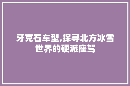 牙克石车型,探寻北方冰雪世界的硬派座驾