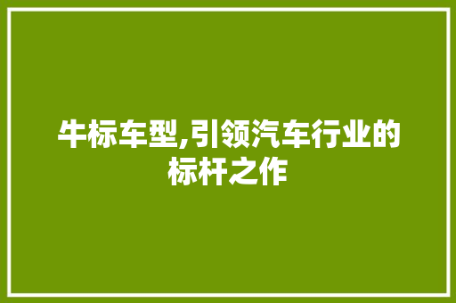 牛标车型,引领汽车行业的标杆之作